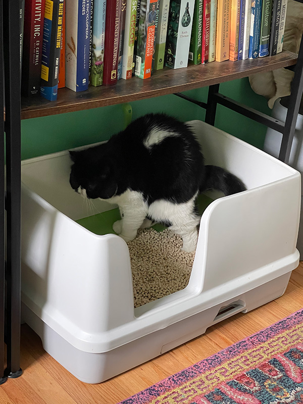 litter boxes large cats